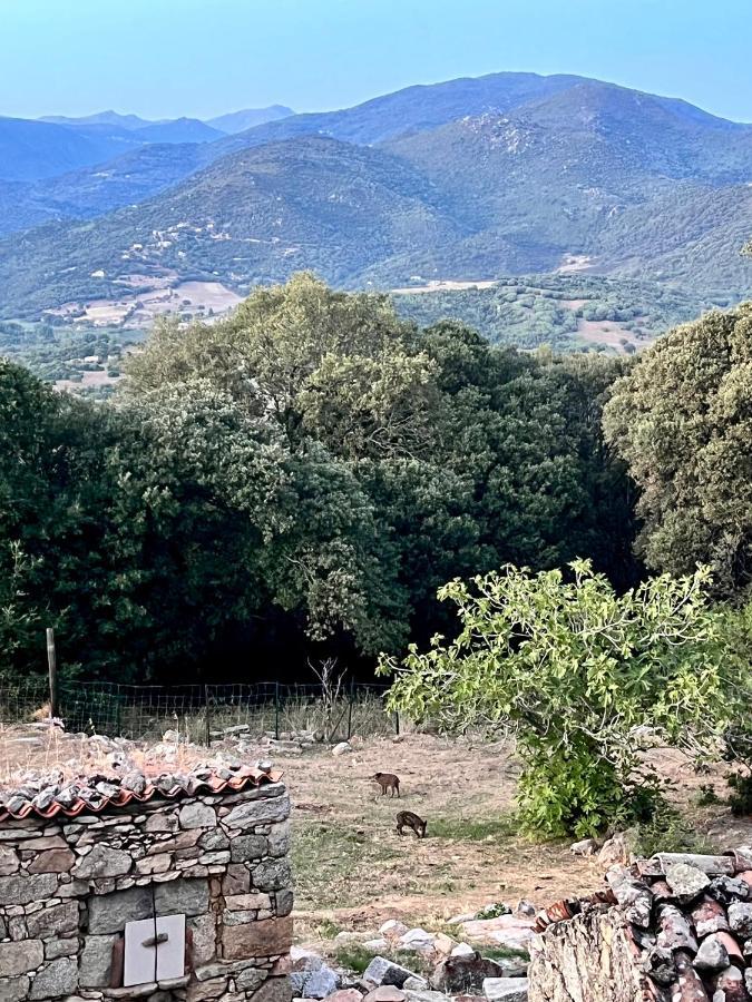 Tradition Corse Et Modernite A Cantina Granace Exterior foto